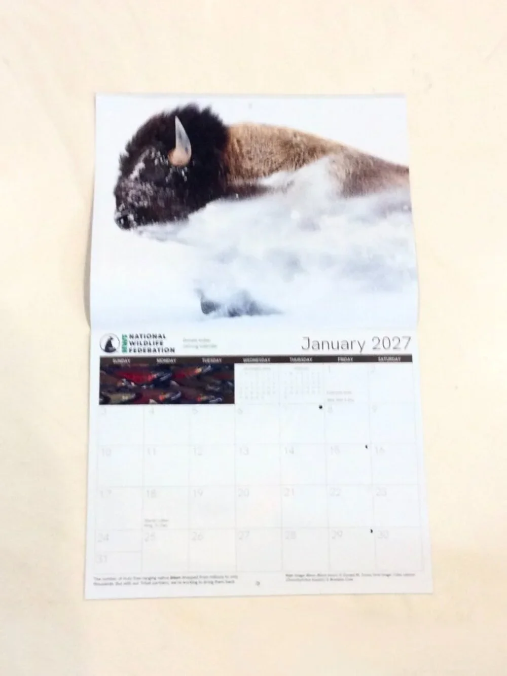 National Wildlife Federation 2026-2027 18-Month Calendar